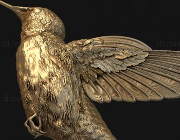 3D model Flying hummingbird (STL)